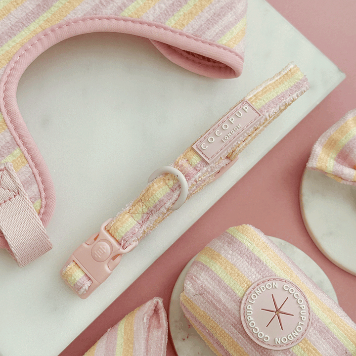 Pink, yellow and orange striped Dog Collar with pink Cocopup logo badge. Includes pink safety lock and d ring. 