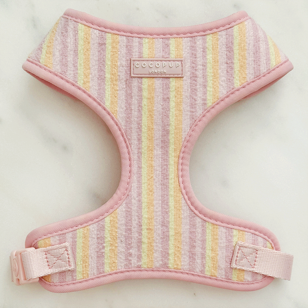 Pink, yellow and orange striped Dog Harness with pink Cocopup logo badge.