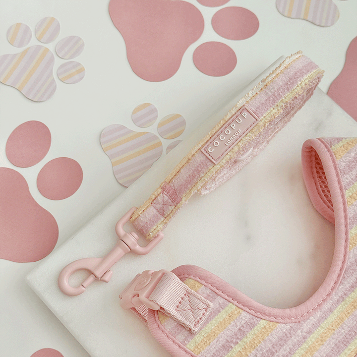 Pink, yellow and orange striped Dog Lead with pink Cocopup logo badge. With pink hardware.