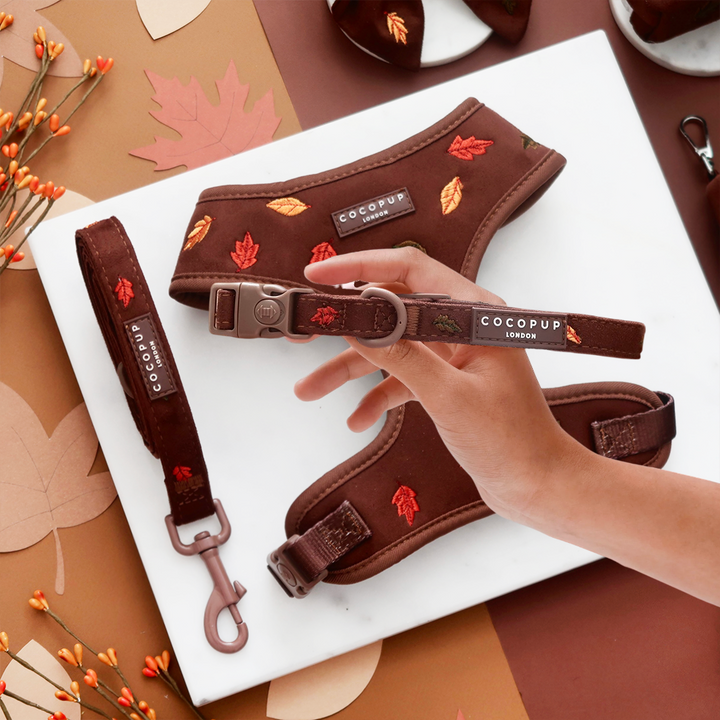 Pawtumn Leaves Adjustable Neck Harness, Lead & Collar Bundle