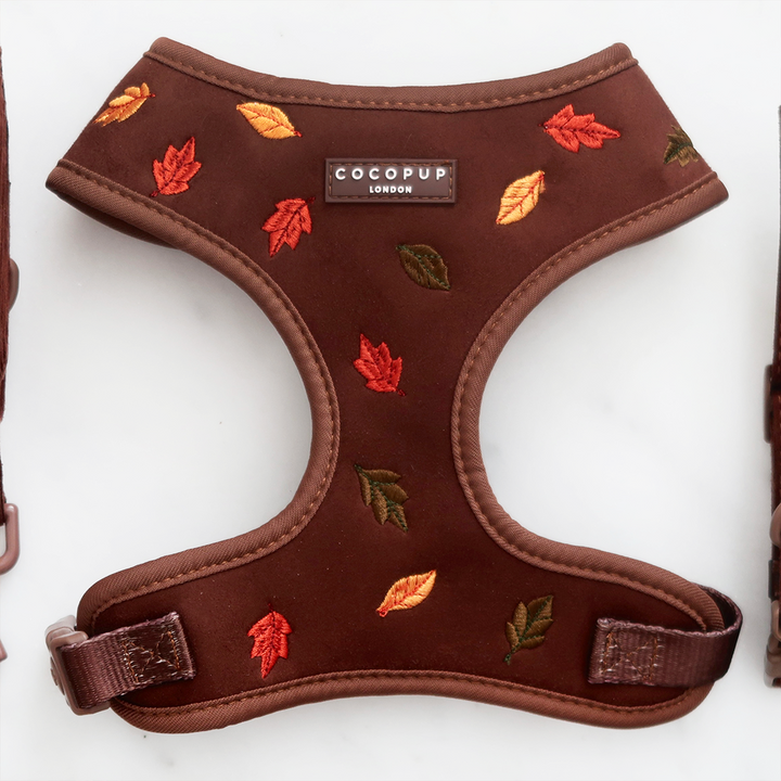 Pawtumn Leaves Adjustable Neck HARNESS