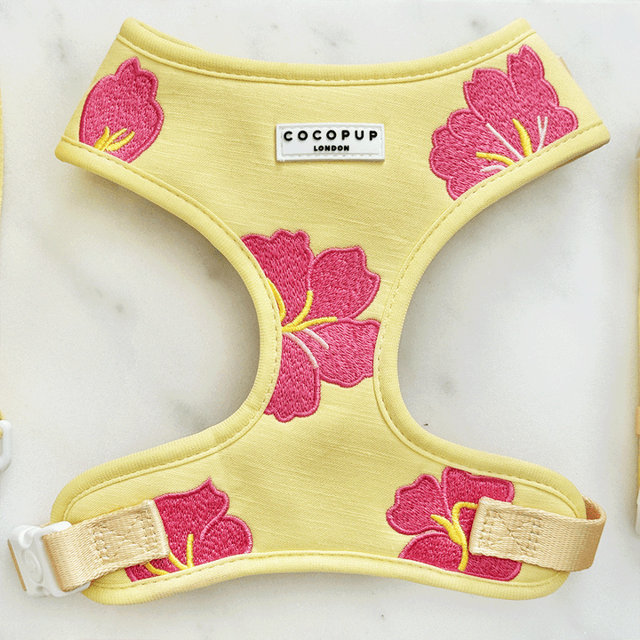 Pink Hibiscus Adjustable Neck Harness, Lead & Collar Bundle