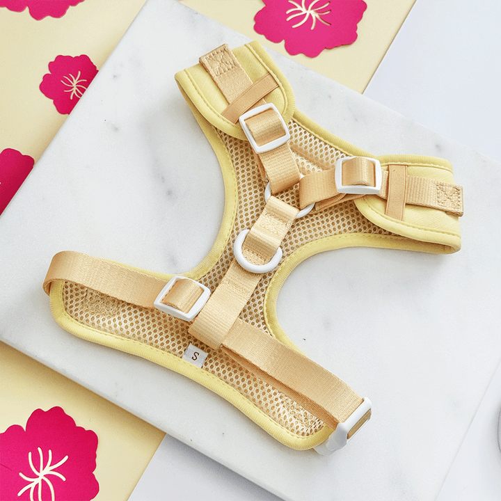 Pink Hibiscus Adjustable Neck Harness, Lead & Collar Bundle