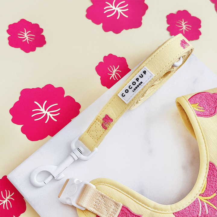 Pink Hibiscus Lead