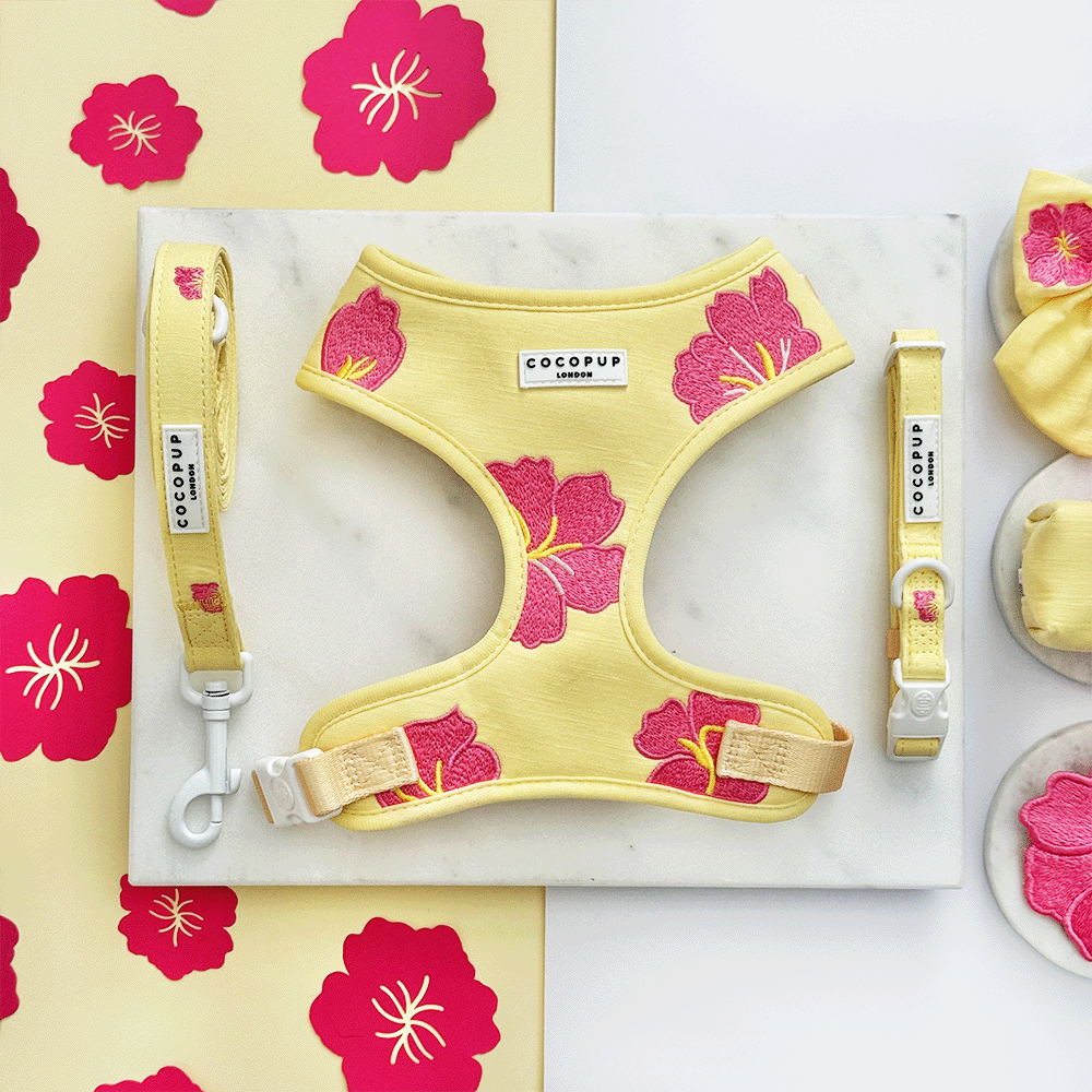 Pink Hibiscus Adjustable Neck Harness, Lead & Collar Bundle