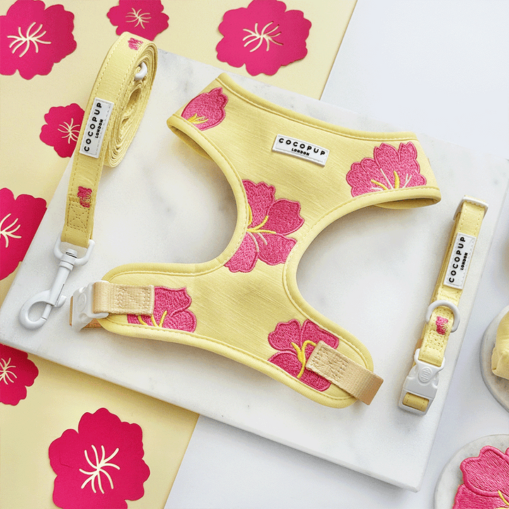 Pink Hibiscus COLLAR