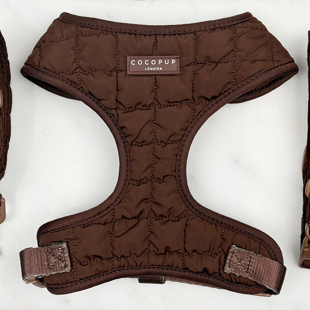 Espresso Quilted Adjustable Neck Harness, Lead & Collar Bundle