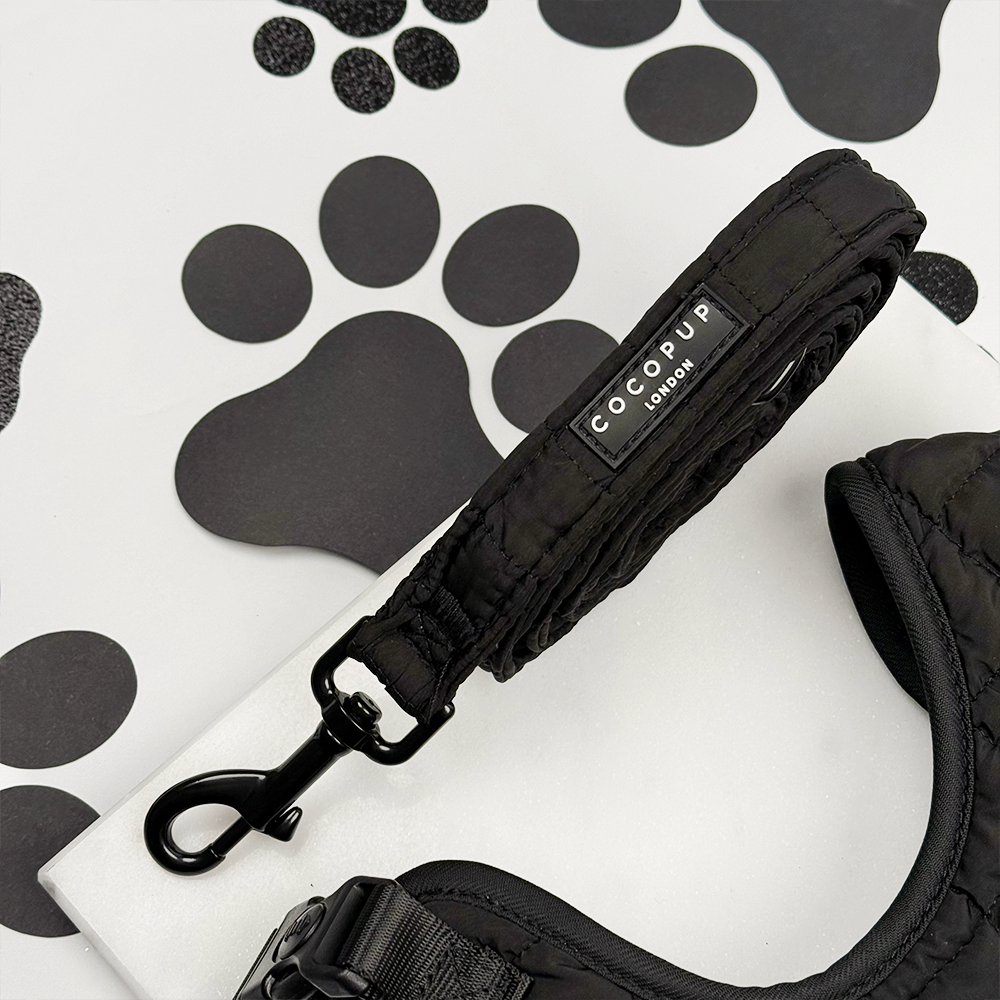 Onyx Quilted Adjustable Neck Harness, Lead & Collar Bundle