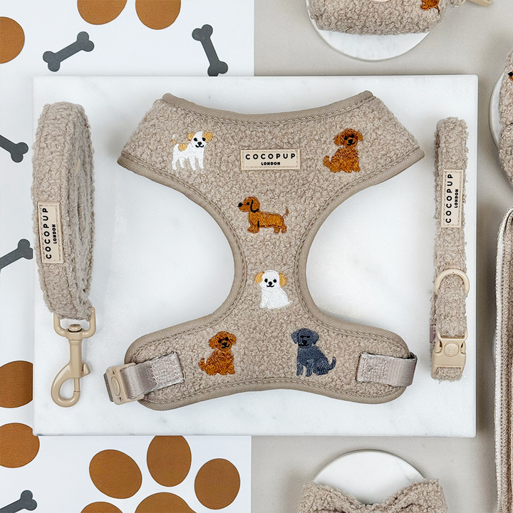 Ralph & Friends Mocha Teddy Adjustable Neck Harness, Lead & Collar Bundle
