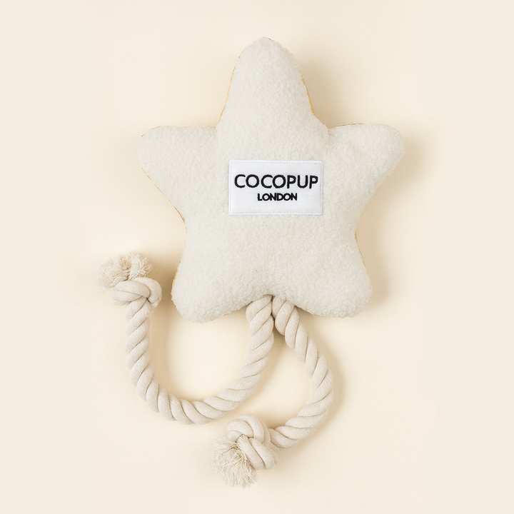 Star Cosy Dog Toy