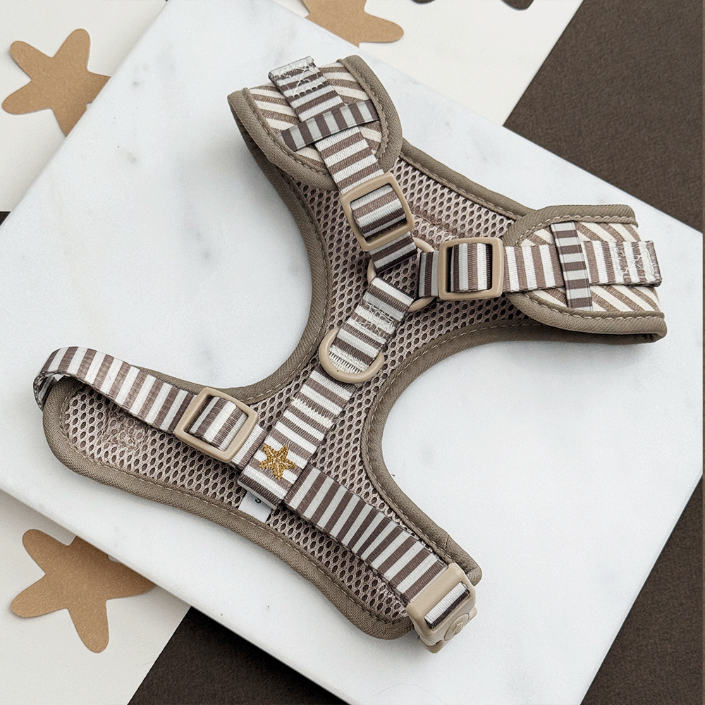 Sandy Starpaws Adjustable Neck HARNESS