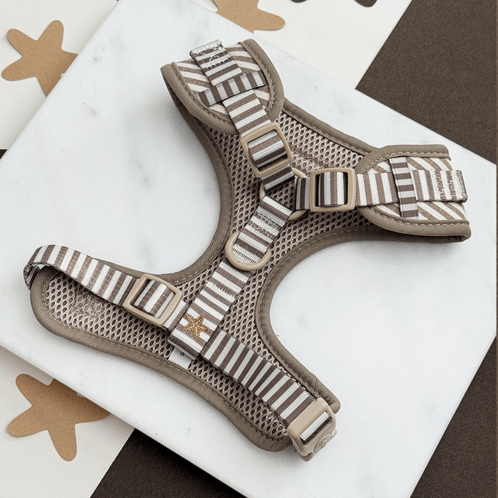 Sandy Starpaws Adjustable Neck HARNESS