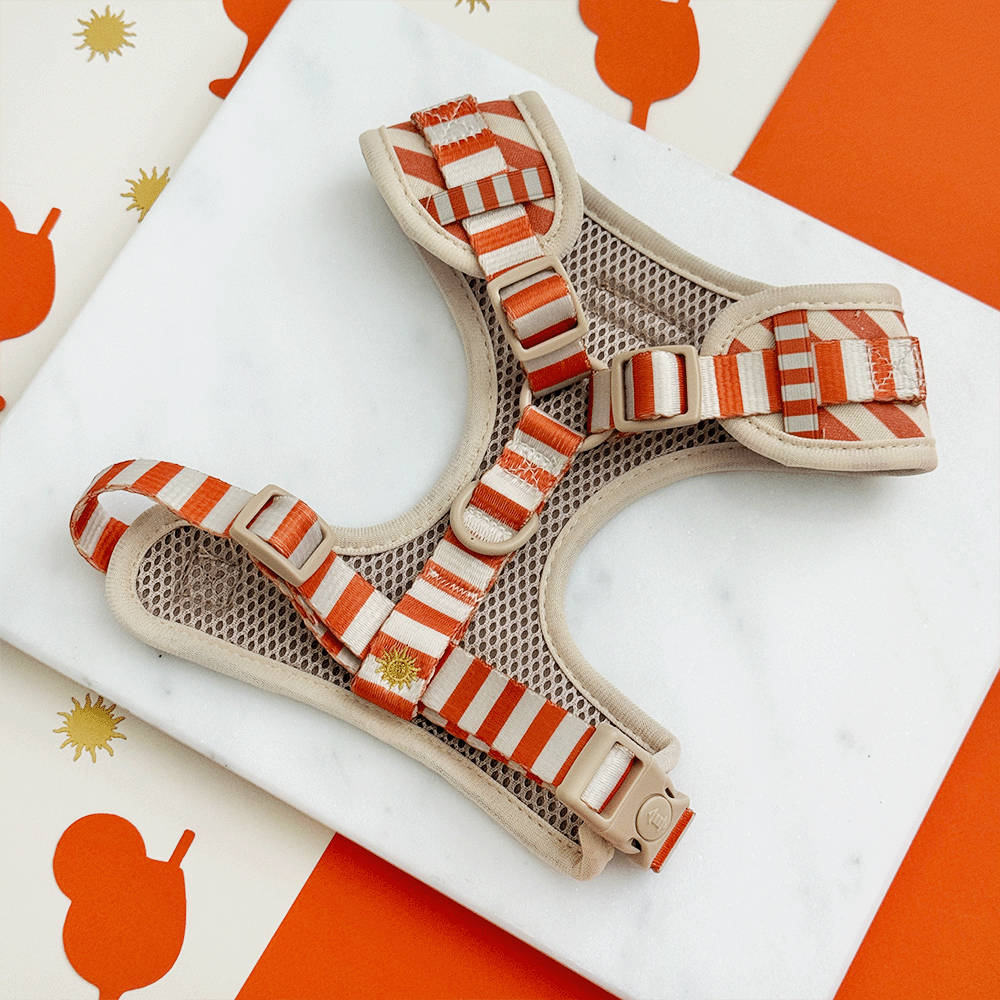 Sunshine & Spritz Adjustable Neck HARNESS