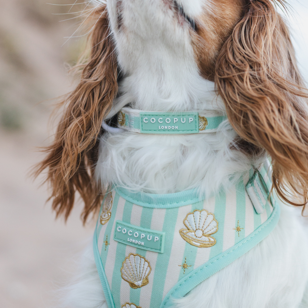 Mermaid Pearl Pup COLLAR