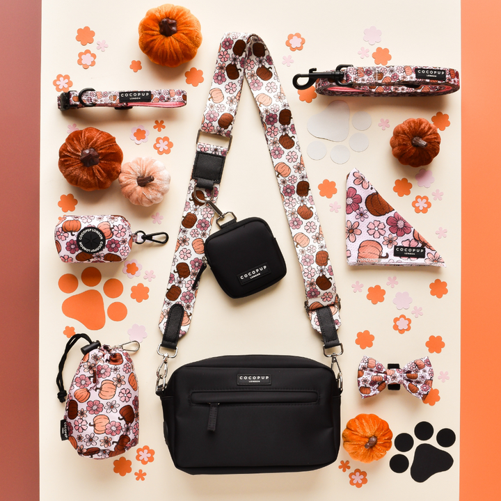 Dog Walking Black Bag Bundle - Pup-kin Meadow