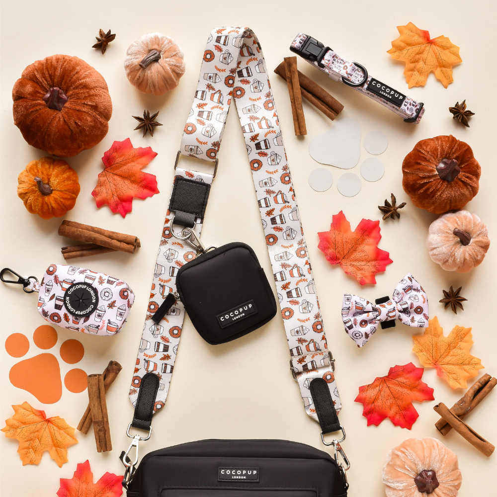 Dog Walking Black Bag Bundle - Autumn Puppuccino