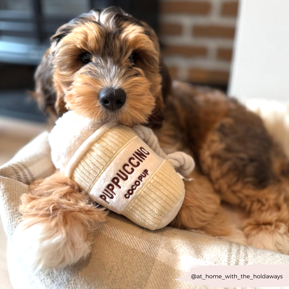 Puppuccino Dog Toy