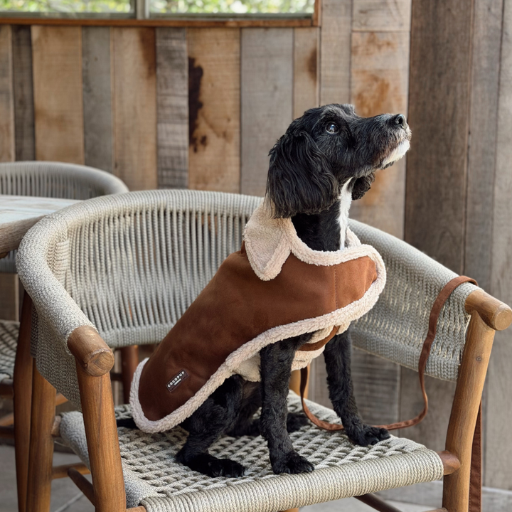 A black dog wearing a brown and cream fleece pet coat sits on a woven chair in front of a rustic wooden wall.