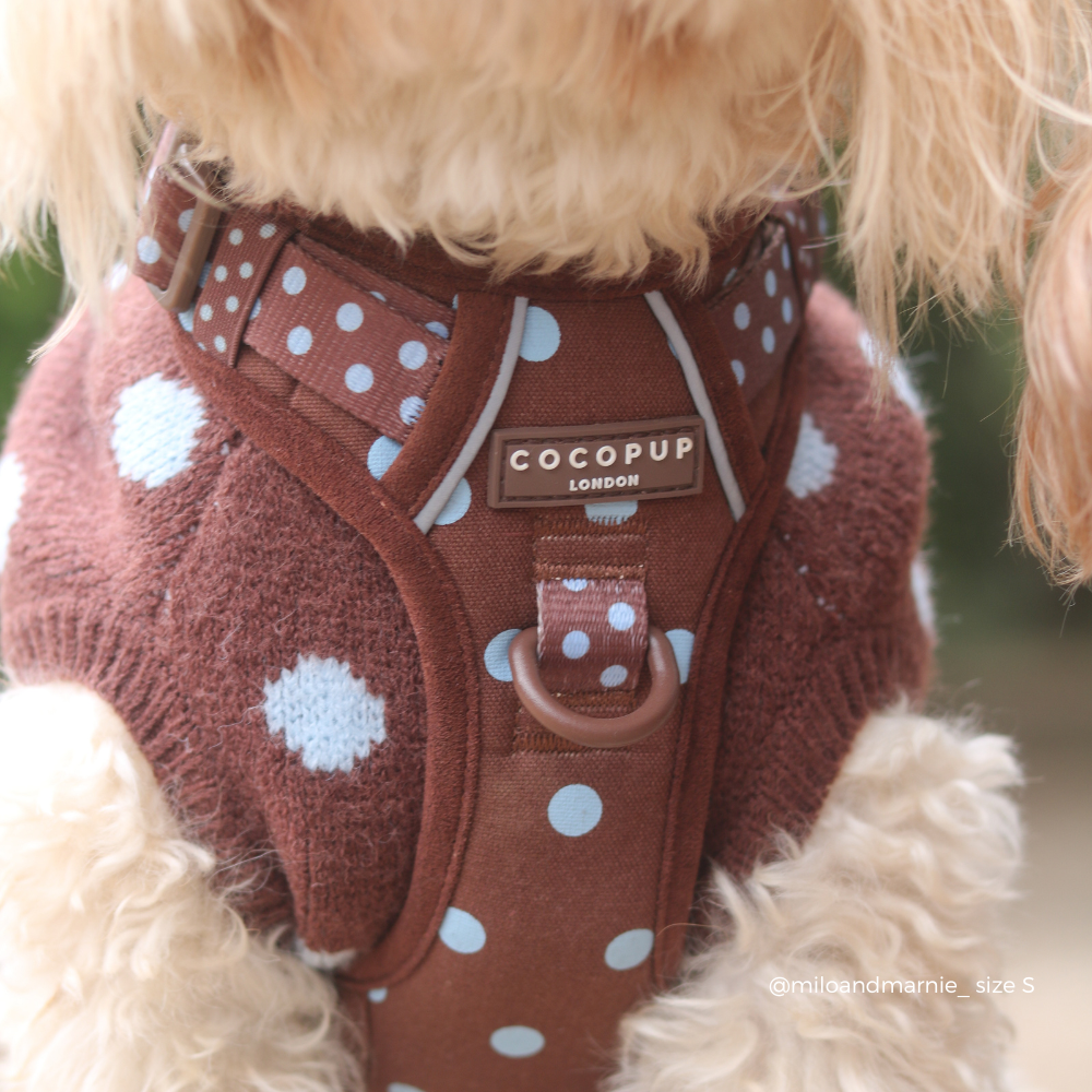 A close-up of a small fluffy dog wearing a brown knit harness with light blue polka dots and a visible COCOUP LONDON brand patch.