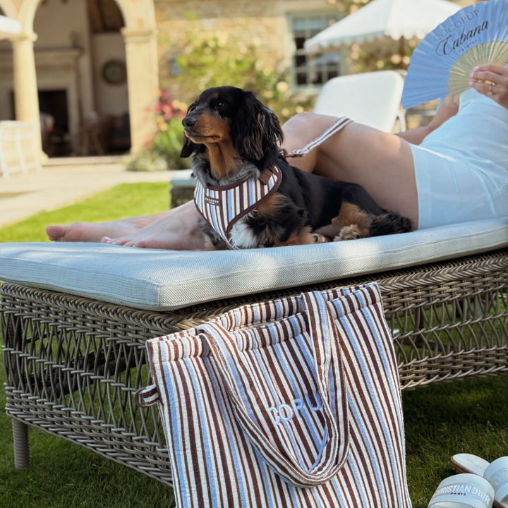 Tote Bag - Brown & Blue Stripes
