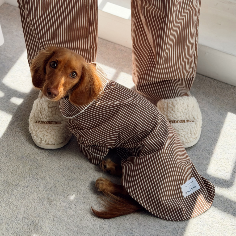A dachshund wearing a brown and beige pinstriped dog pjs sits on a light gray carpeted floor next to a person wearing matching brown and beige pinstriped pants and cream sherpa slippers.