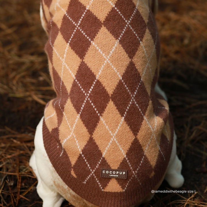 close up of dog wearing Dog jumper in a brown, tan, and white argyle pattern. 