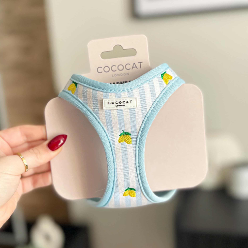 Hand holding a Cocopup London cat harness, lead, and collar set with bright yellow lemon pattern.