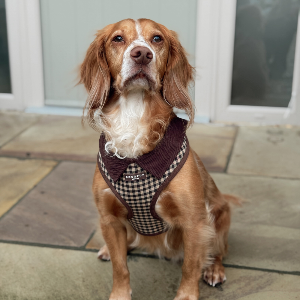 Cotswold Check Adjustable Neck HARNESS