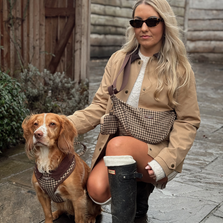 Cotswold Check Adjustable Neck Harness, Lead & Collar Bundle