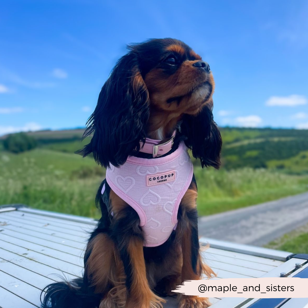 Luxe Adjustable Neck Harness - Baby Pink Heart