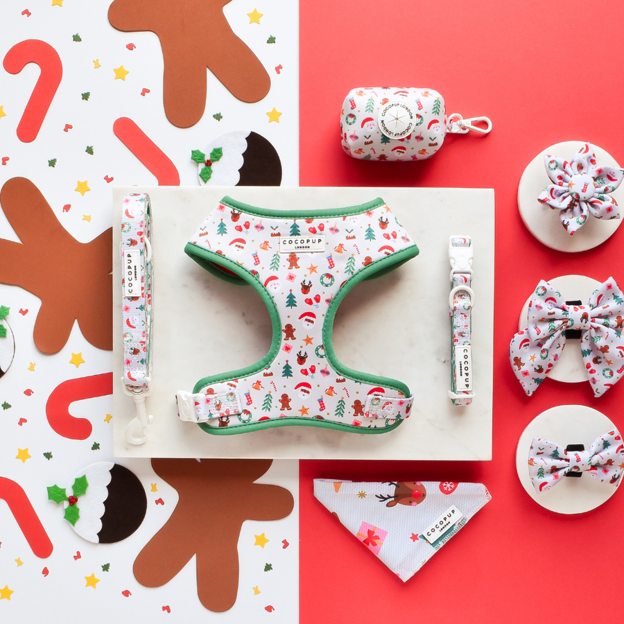 Ralphs Christmas Pawty Dog Collar Cocopup London