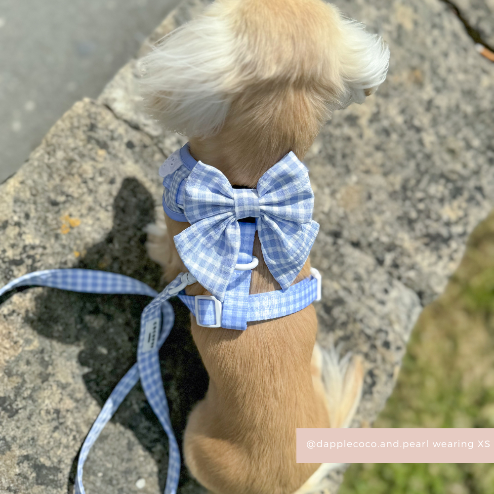 English Blue Sailor Bow Tie