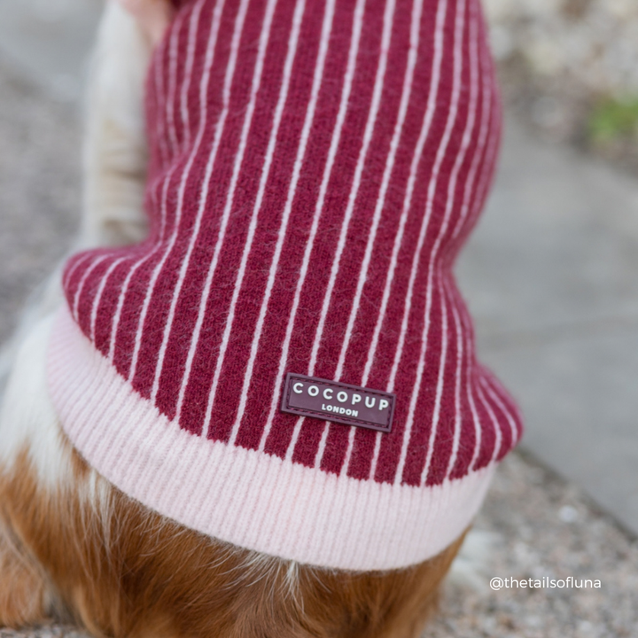 A close-up of a dog wearing a burgundy and pink striped knit pet jumper with a light pink ribbed cuff. The jumper features a small burgundy brand patch reading 'COCOPUP LONDON'.