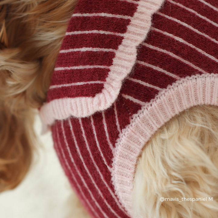 A close-up of a dog wearing a knitted pet sweater with dark red and light pink stripes, featuring a ribbed neck and leg cuffs.