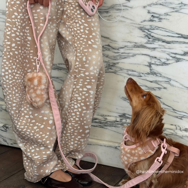 A person wearing beige and white speckled wide-leg pants with a pink leash and matching pink pouch, standing next to a brown dachshund wearing a matching pink harness and leash in front of a white marble wall.