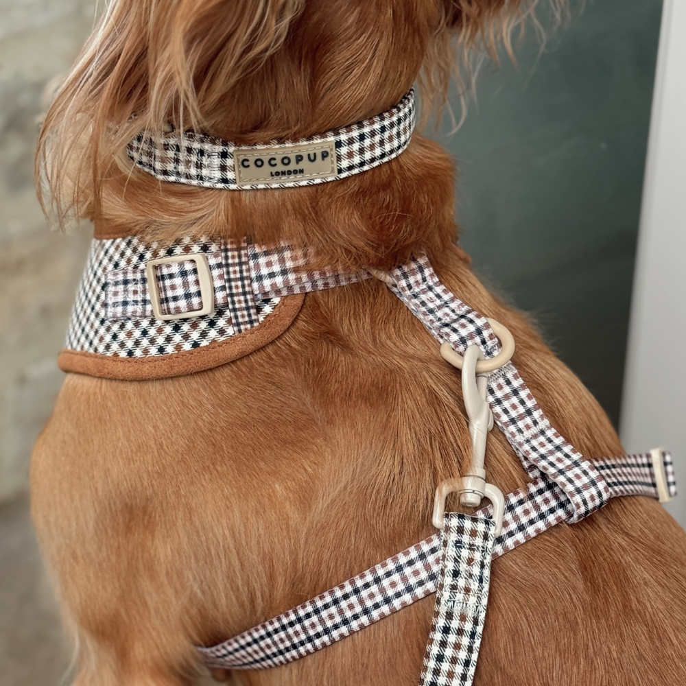 Heritage Check Dog Collar Cocopup London Heritage Check Dog Collar Cocopup London