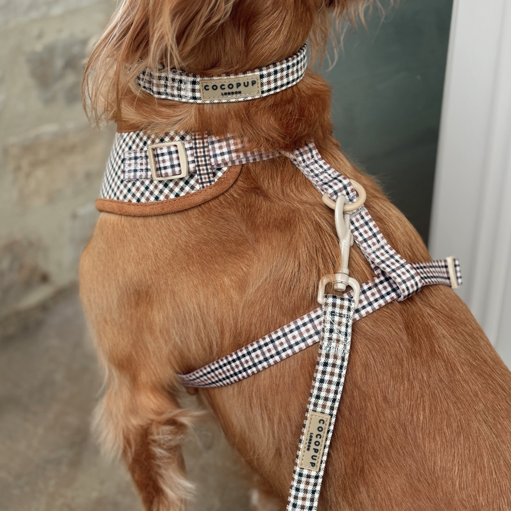 Heritage Check Adjustable Neck Harness, Lead & Collar Bundle