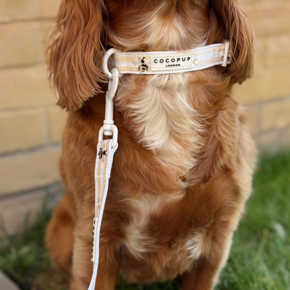 Honey Meadow COLLAR