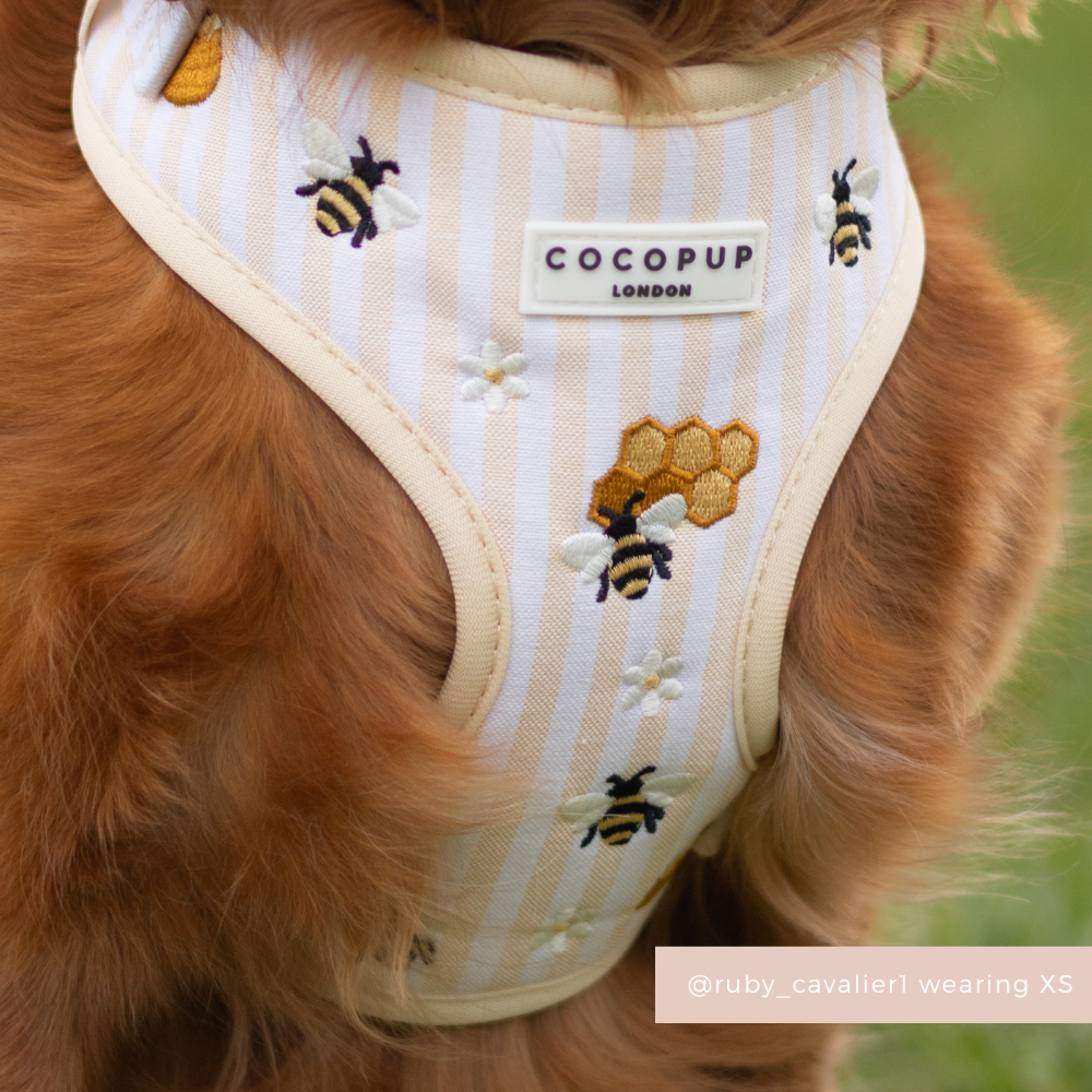Honey Meadow Adjustable Neck HARNESS