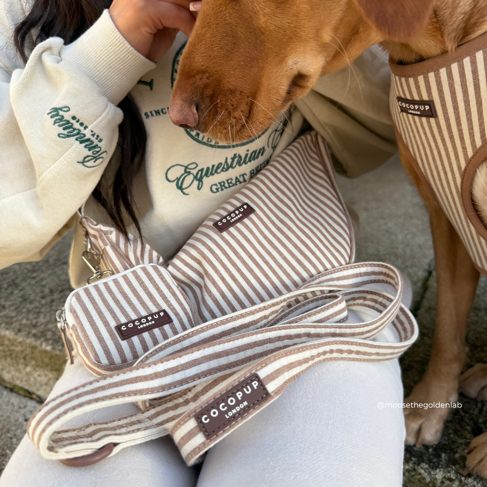Crossbody Crescent Dog Walking Bag - London Linen Stripes