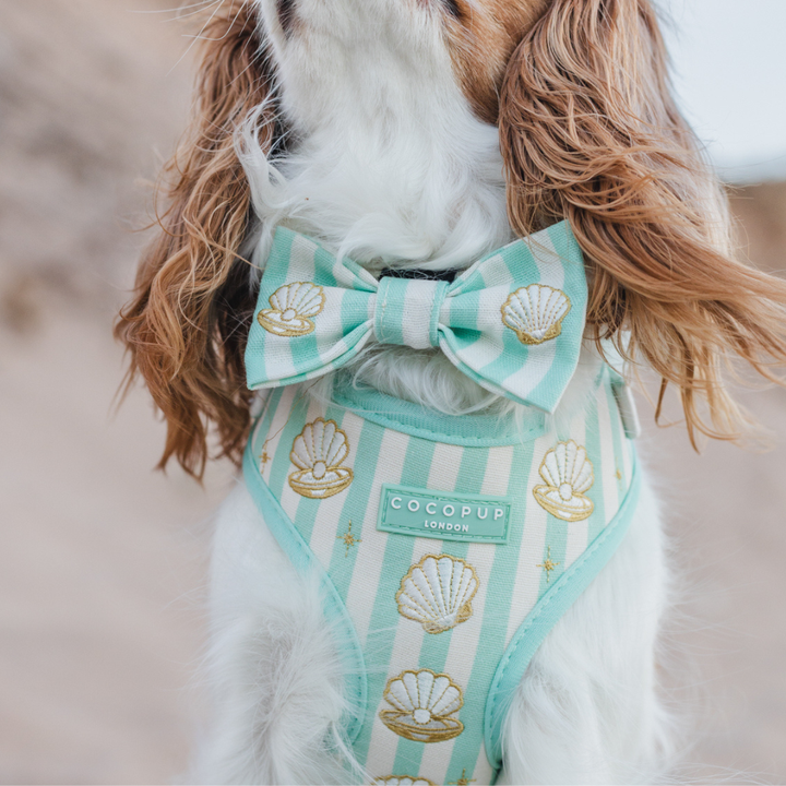Mermaid Pearl Pup Bow Tie