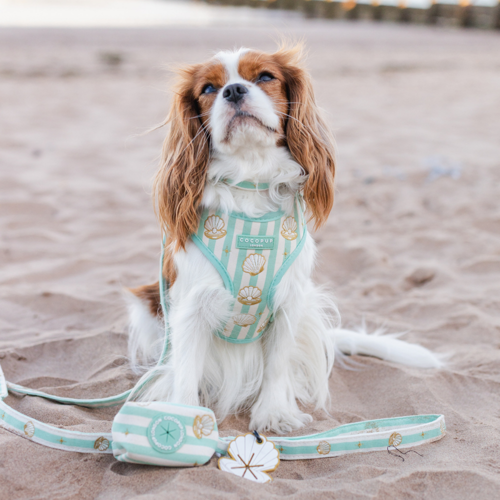 Mermaid Pearl Pup Adjustable Neck HARNESS
