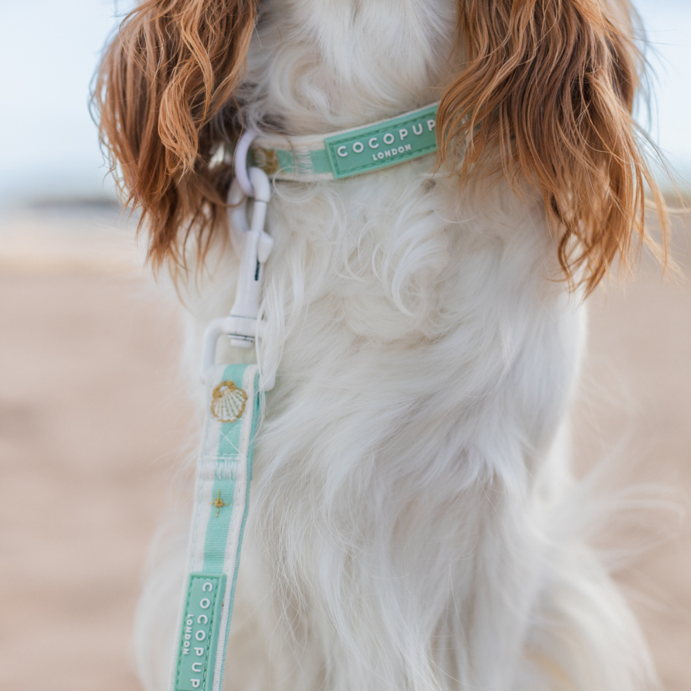 Mermaid Pearl Pup Lead