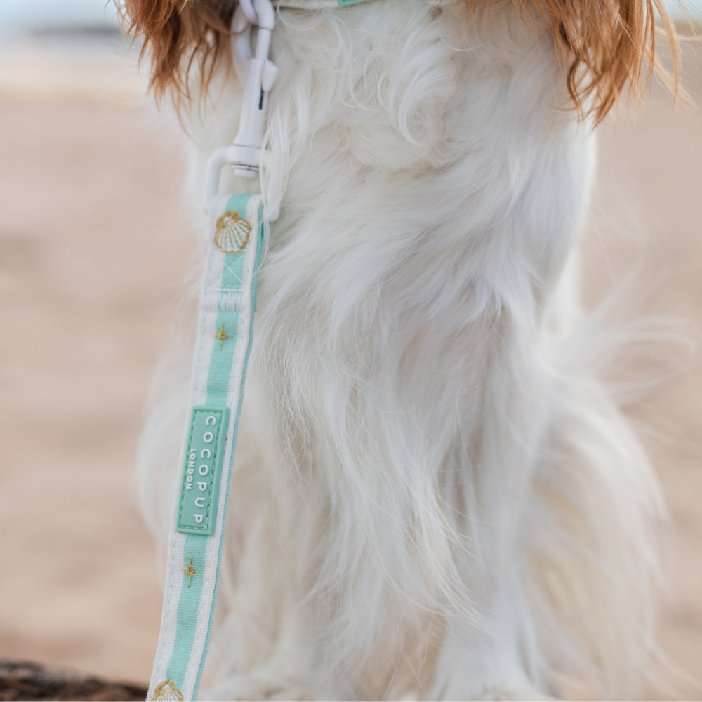 Mermaid Pearl Pup Lead