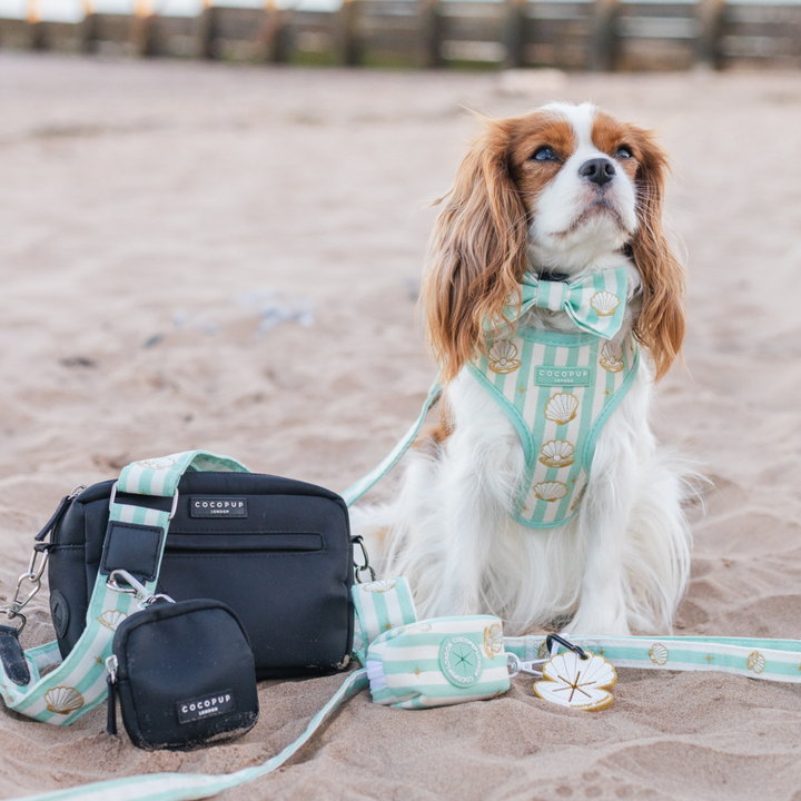Dog Walking Bag Bundle - Mermaid Pearl Pup