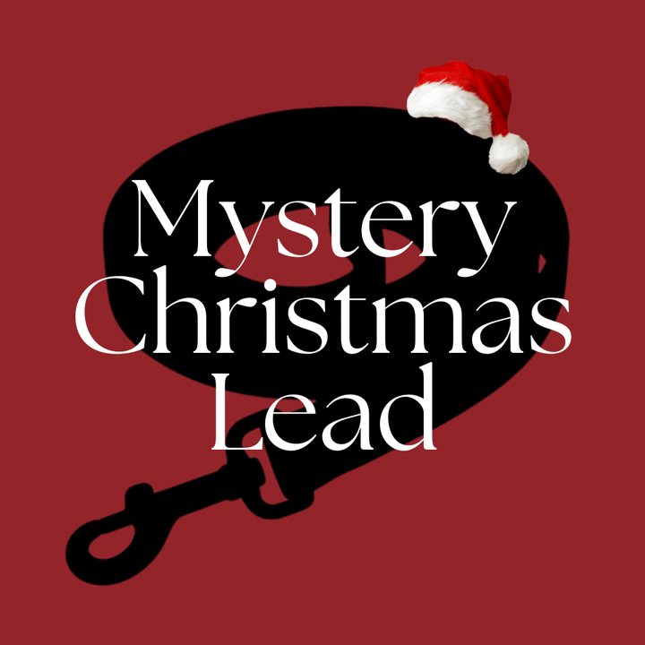 Christmas Mystery Lead