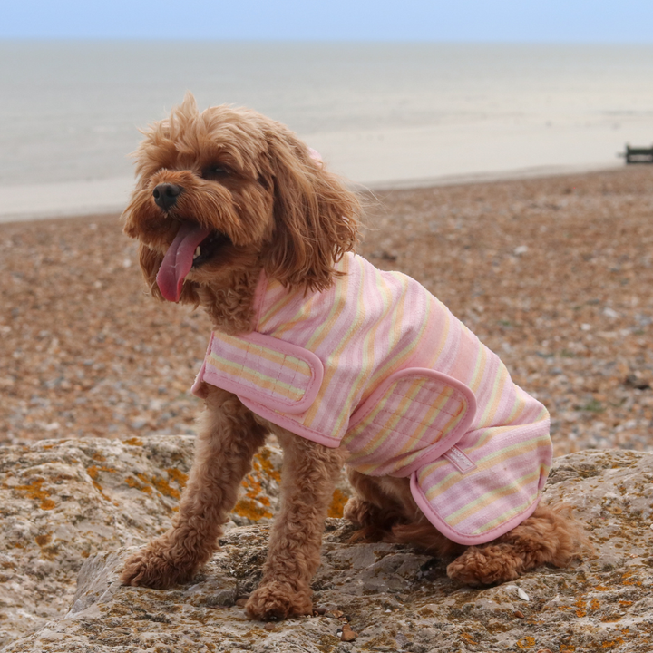 Pastel Stripes Drying Robe