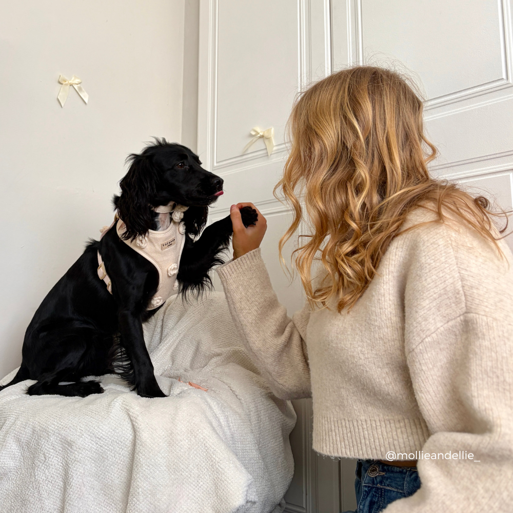 Petal Patch Adjustable Neck HARNESS