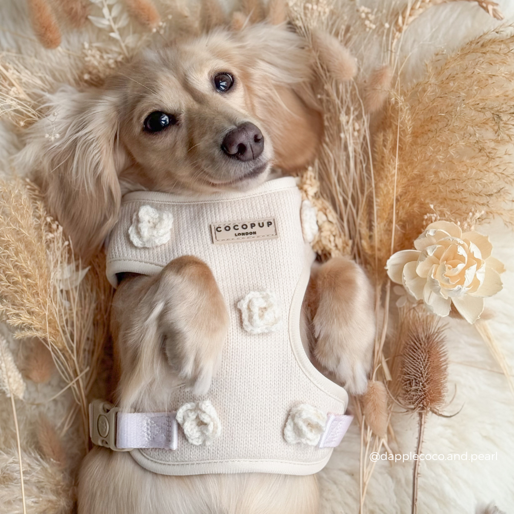 Petal Patch Adjustable Neck HARNESS