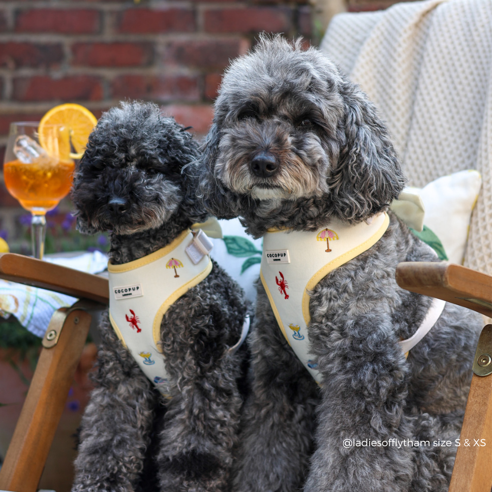 Picnic in Positano Adjustable Neck HARNESS